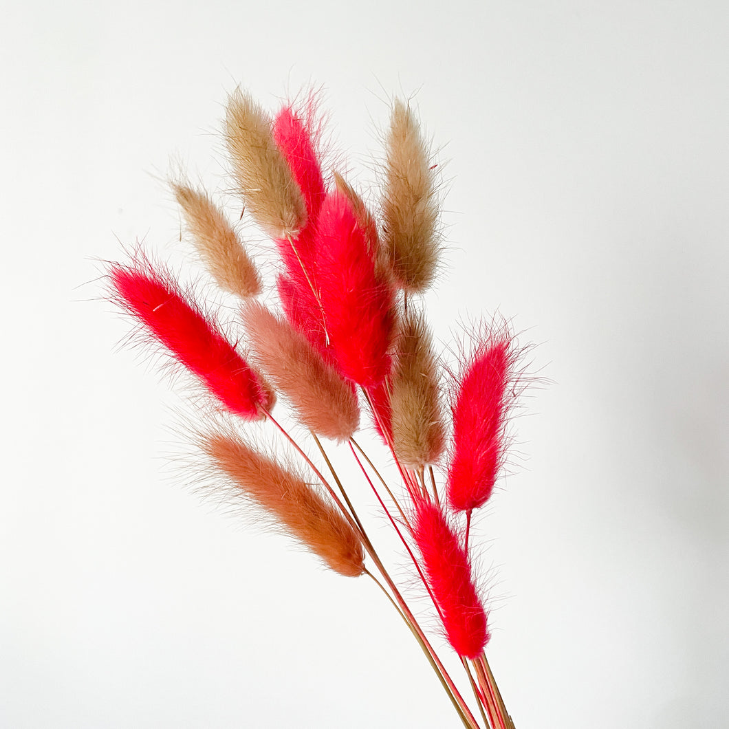 Bunny Tails | Christmas Red