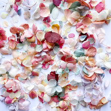 Load image into Gallery viewer, Preserved Hydrangea Confetti | Rainbow
